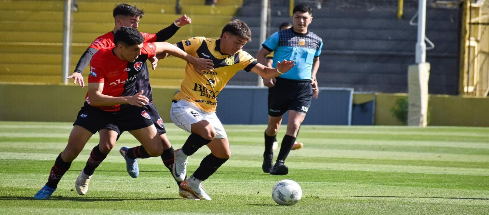 Imagen de la noticia