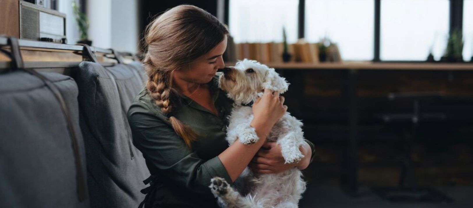 Imagen de la noticia: Científicos aseguran que tu perro puede distinguir cuando estás triste