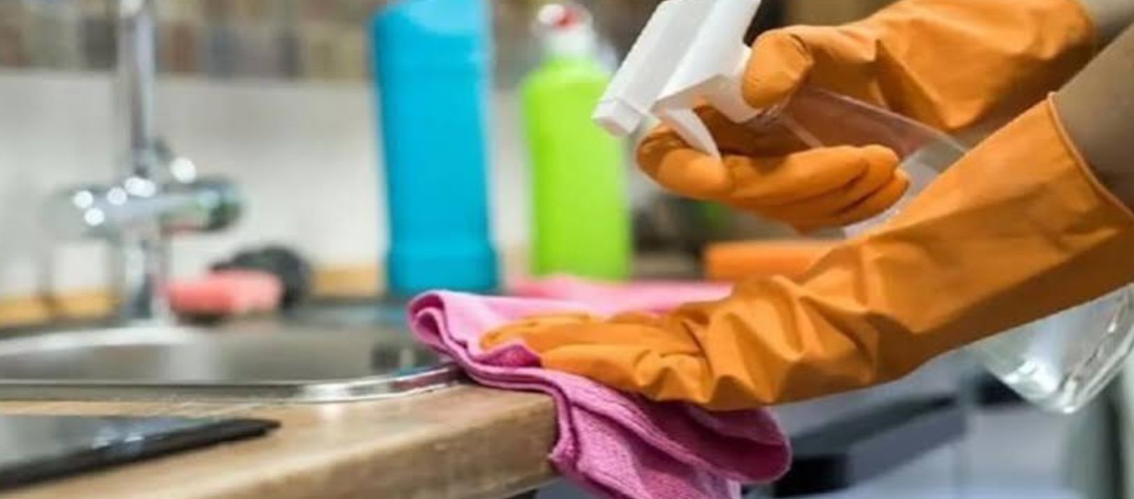 Imagen de la noticia: Noviembre trae una suba del 1,6% para el personal de casas particulares