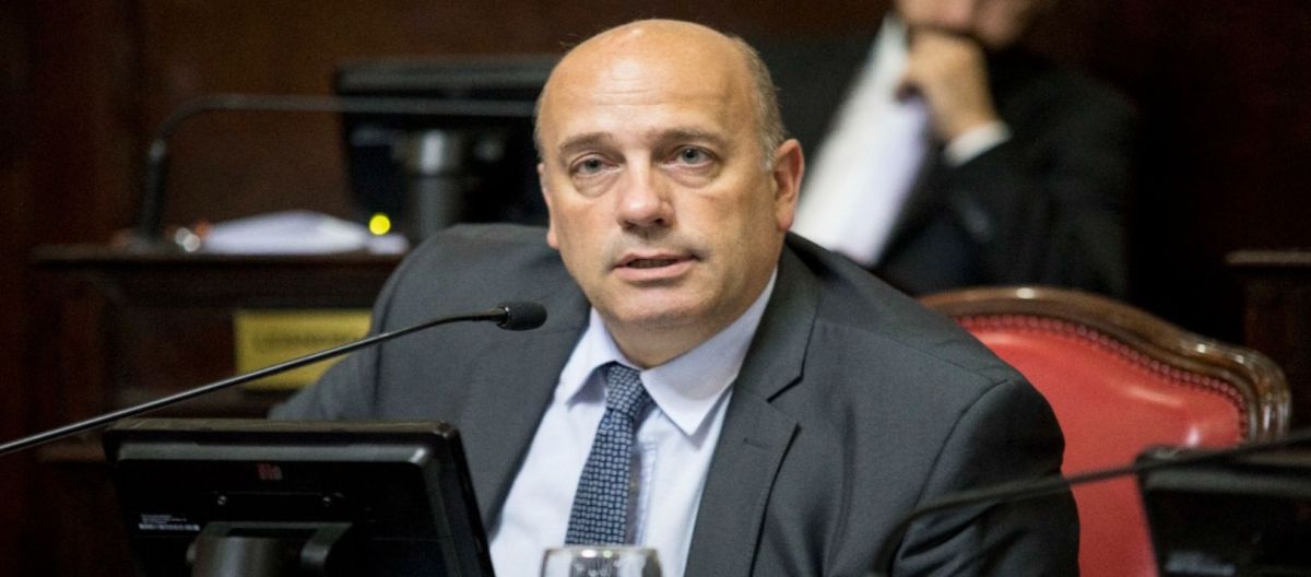 Imagen de la noticia: Andrés De Leo: "Susbielles se presentaba como Superman"