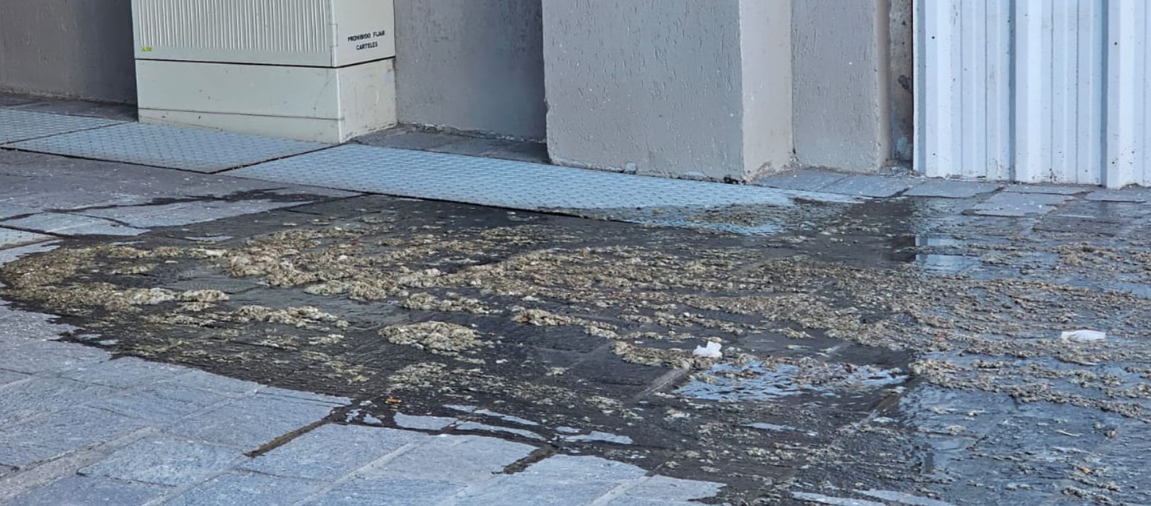 Imagen de la noticia: Universitario: responsabilizan a ABSA de un gran desborde cloacal en un edificio