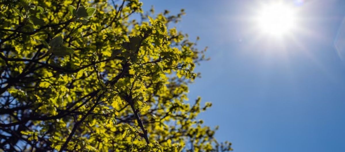 Imagen de la noticia: Un domingo con un brusco descenso de la temperatura