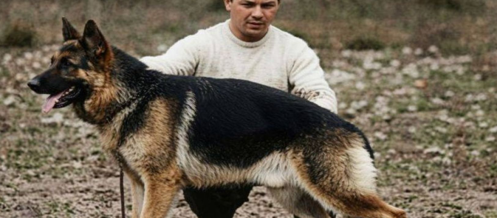 Imagen de la noticia: La historia de "Chonino", quien motivó el surgimiento del "Día del Perro"