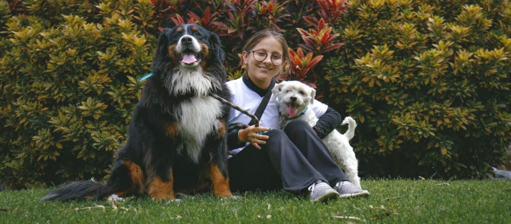 Imagen de la noticia: Los adolescentes con perros tienen una ventaja fundamental para la vida adulta