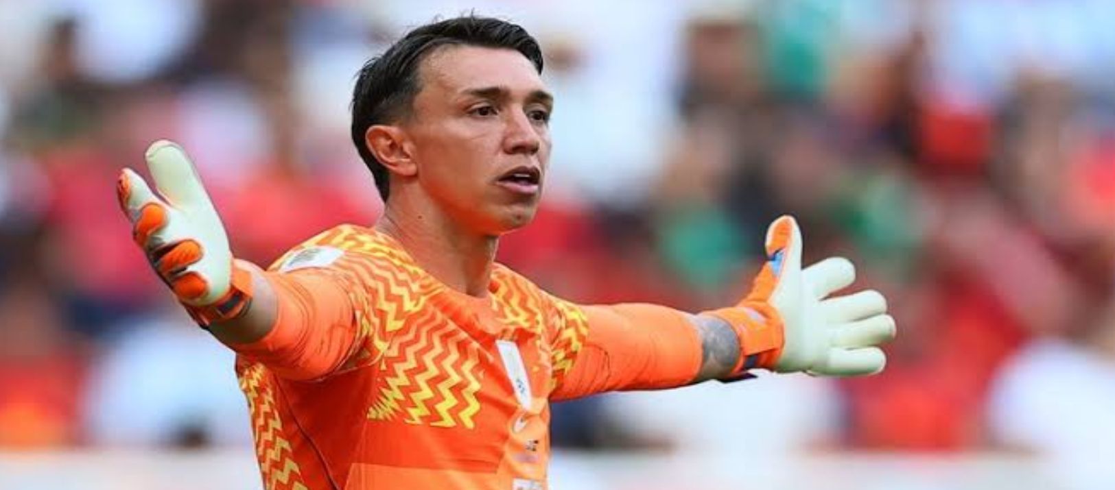 Imagen de la noticia: El pedido de disculpas de un relator de Punta Alta al arquero uruguayo Muslera