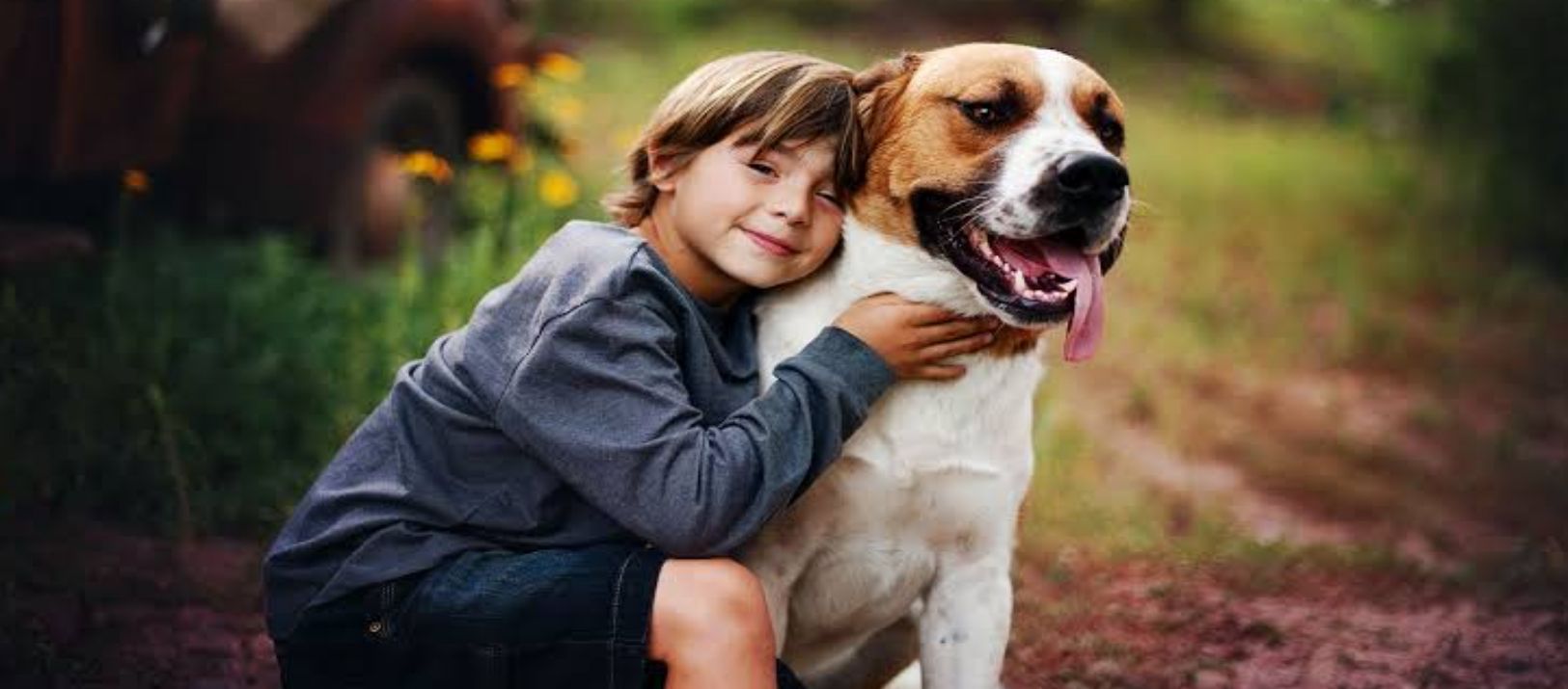 Imagen de la noticia: Los niños que en sus primeros años conviven con perros sufren menos infecciones