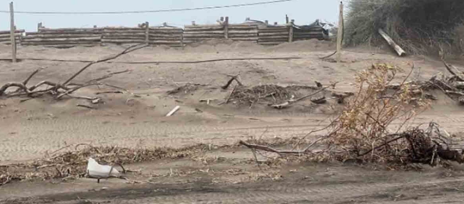 Imagen de la noticia: Denuncian el bloqueo de un acceso a la playa en Pehuen Co y alertan por incendio