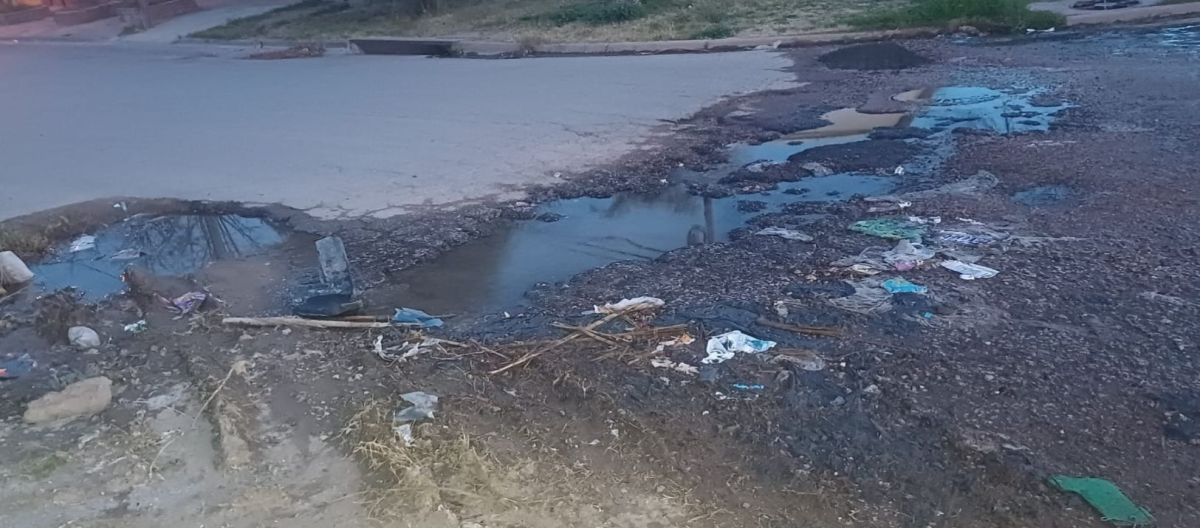Imagen de la noticia: Una calle detonada: pozos enormes, olores nauseabundos y mucha basura
