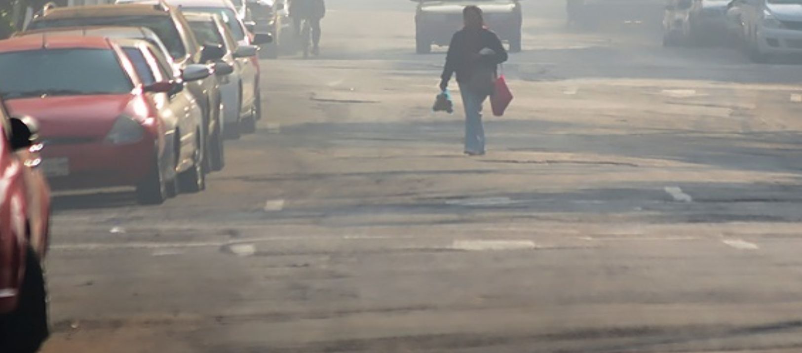 Imagen de la noticia: El CTE informó niveles elevados de material particulado en el aire