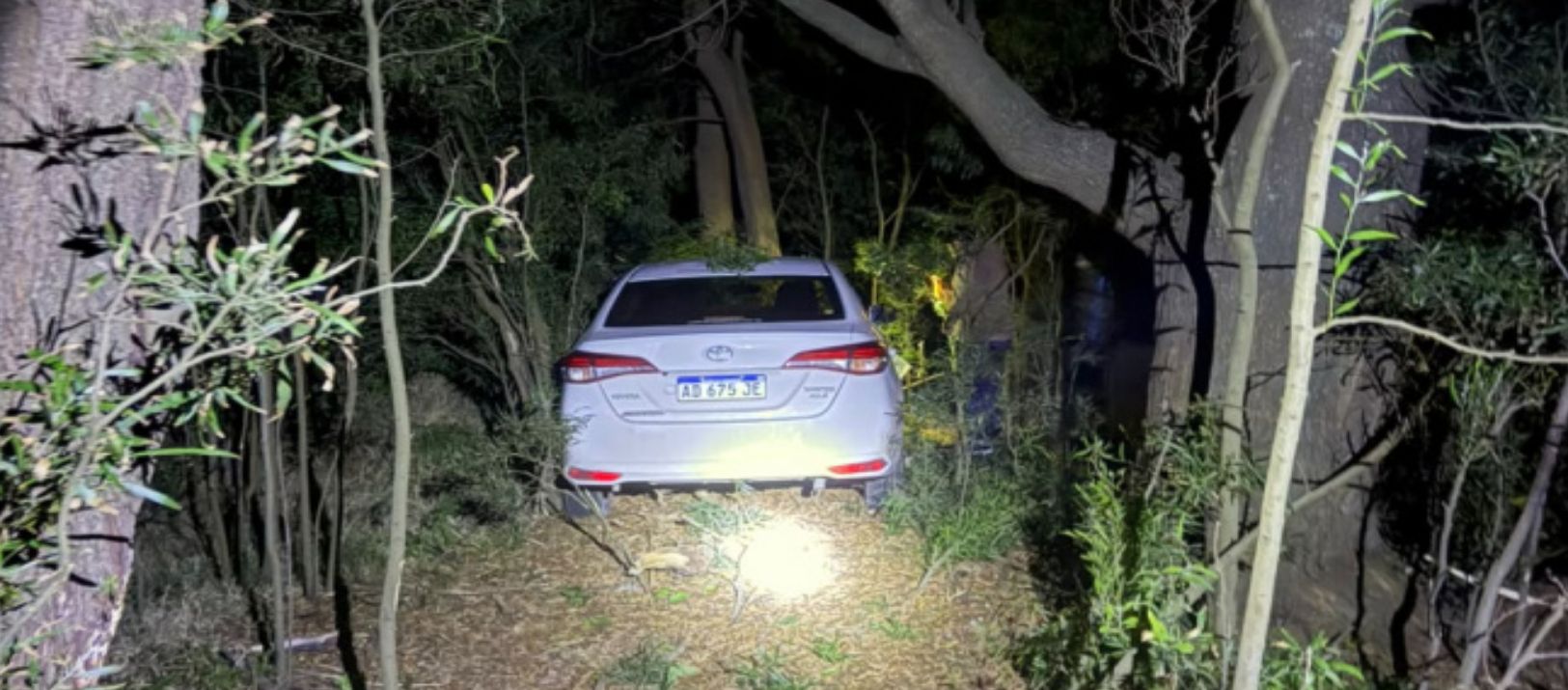 Imagen de la noticia: Un hombre de Bahía Blanca se despistó con su auto en la ruta 88