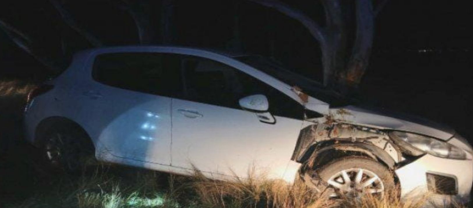Imagen de la noticia: Por esquivar un perro, una pareja protagonizó un accidente en la Ruta 3