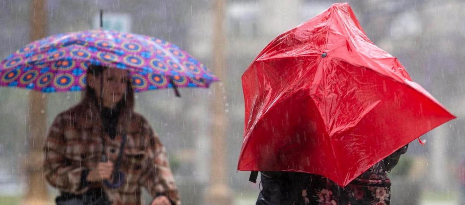 Imagen de la noticia: El Niño: "Hay que estar más atentos a las lluvias que a las altas temperaturas"