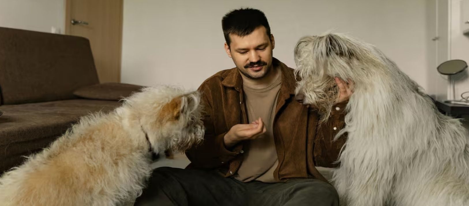 Imagen de la noticia: "No hay que hablarle a las mascotas como si fuesen seres humanos"