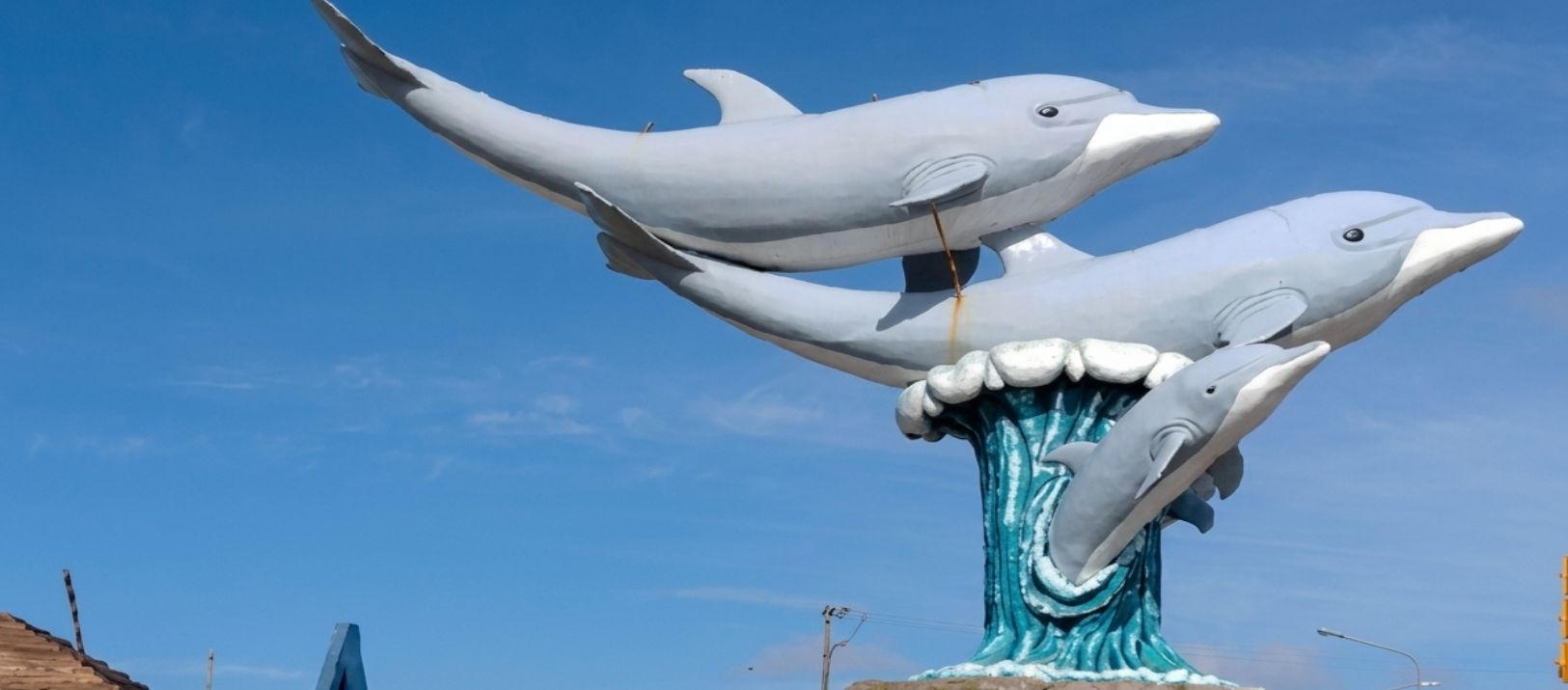 Imagen de la noticia: Ex Aquarium de Mar del Plata: buscan vender pingüinos a USD 40.000