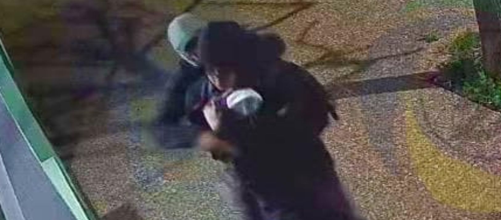Imagen de la noticia: Intento de asalto a estudiante en Tres Arroyos quedó registrado por una cámara