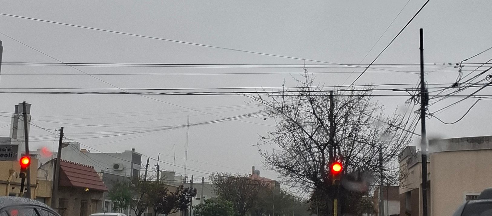 Imagen de la noticia: Rige un alerta amarilla por tormentas para mañana en Bahía Blanca
