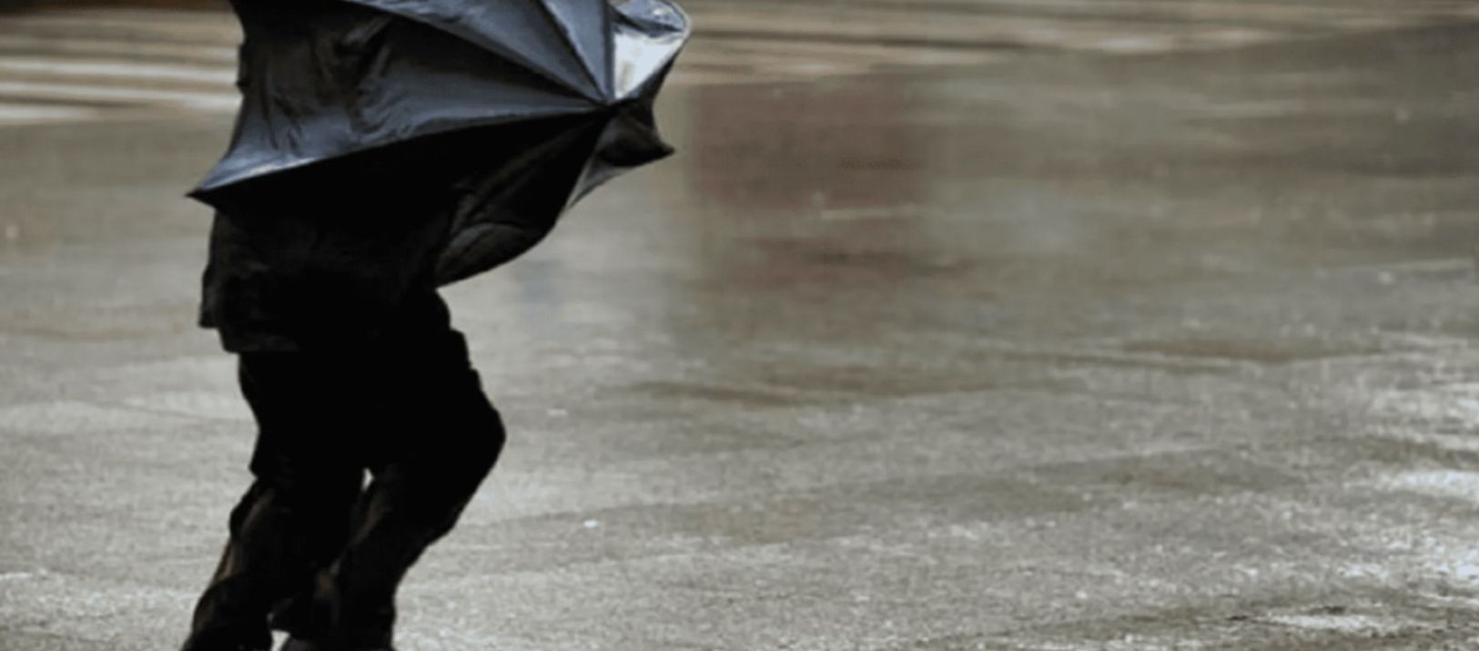 Imagen de la noticia: Cuántos milímetros de lluvia restan para que Bahía supere los mil en este 2026