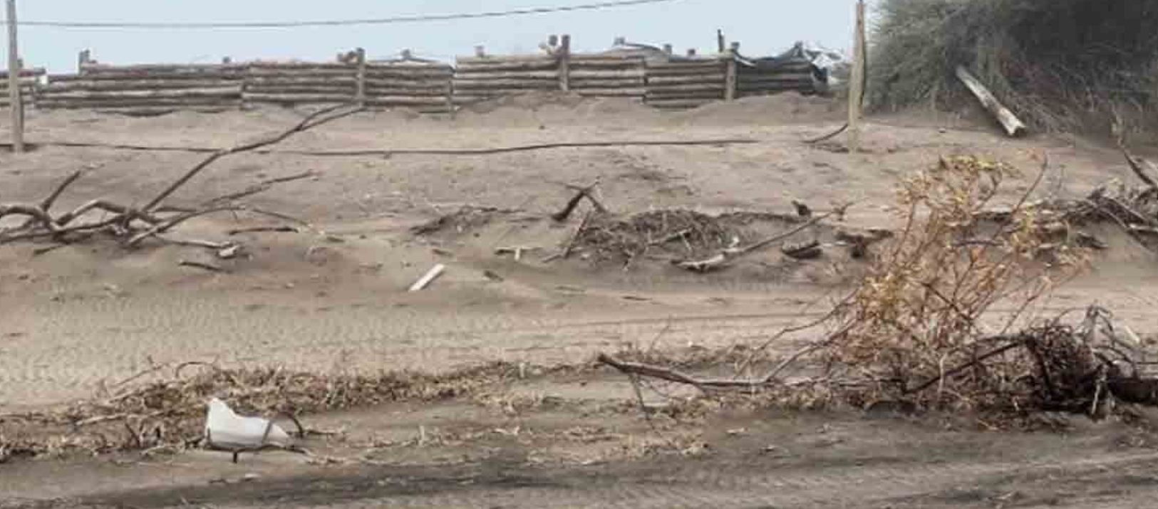 Imagen de la noticia: Bajada de Pehuen Co: "Es una avivada, lo hizo para aprovechar el lugar"