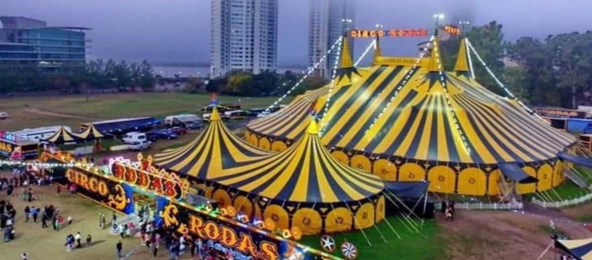 Imagen de la noticia: Circo Rodas, 42 años de tradición circense