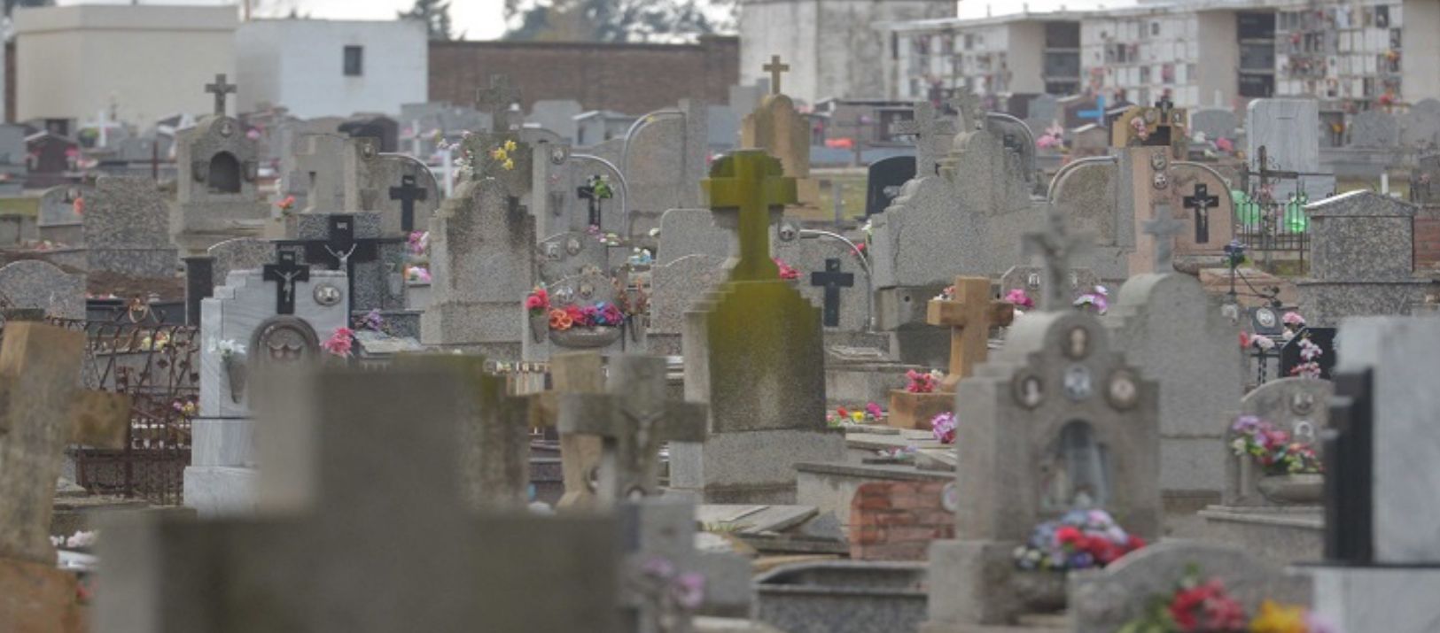 Imagen de la noticia: Cómo funciona el cementerio este domingo por el Día de la Madre