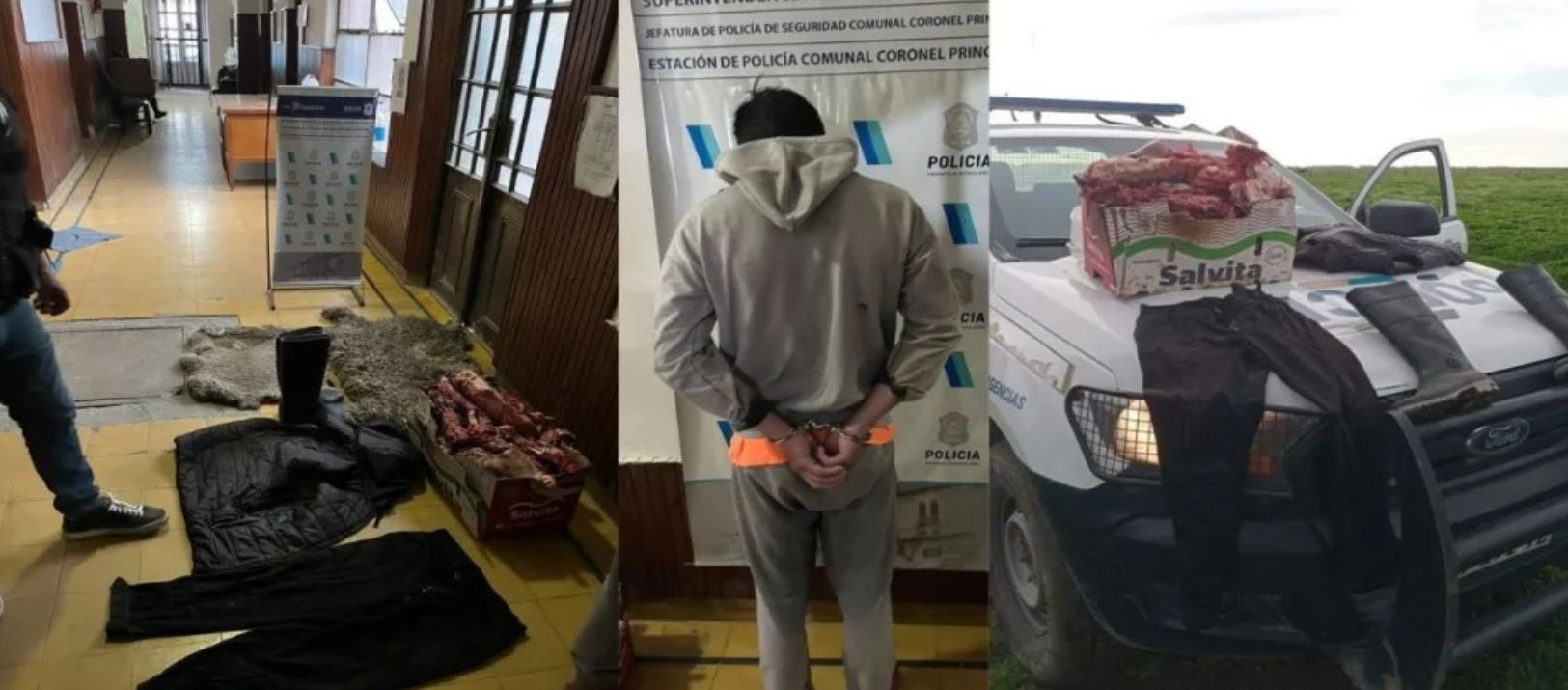 Imagen de la noticia: Coronel Pringles: un joven de 25 años quedó imputado por abigeato