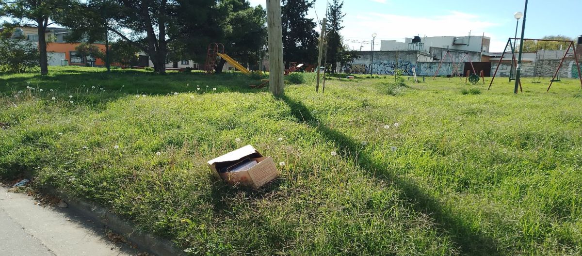 Imagen de la noticia: Santa Margarita: vecinos denuncian el estado de abandono de plazas y terrenos