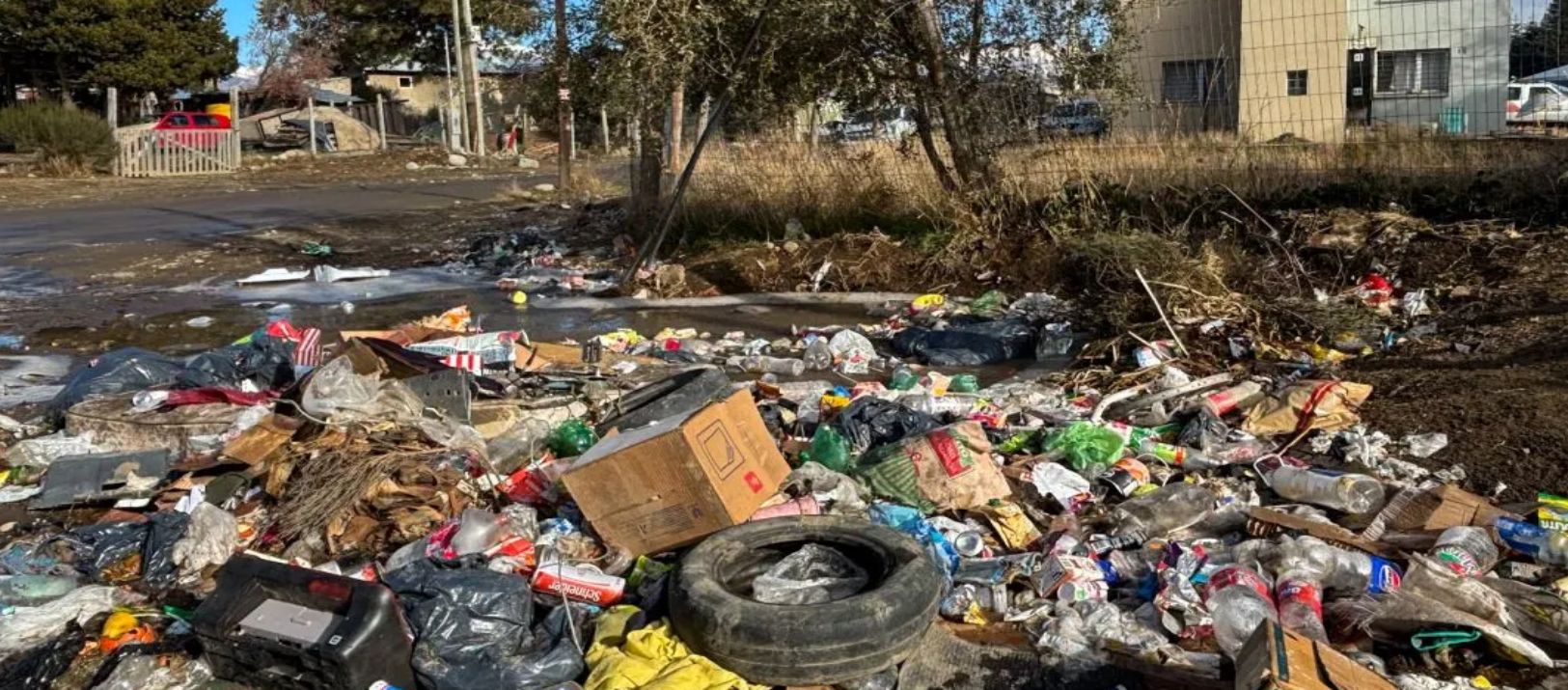 Imagen de la noticia: Punta Alta: piden que se secuestren autos que arrojen basura en la calle