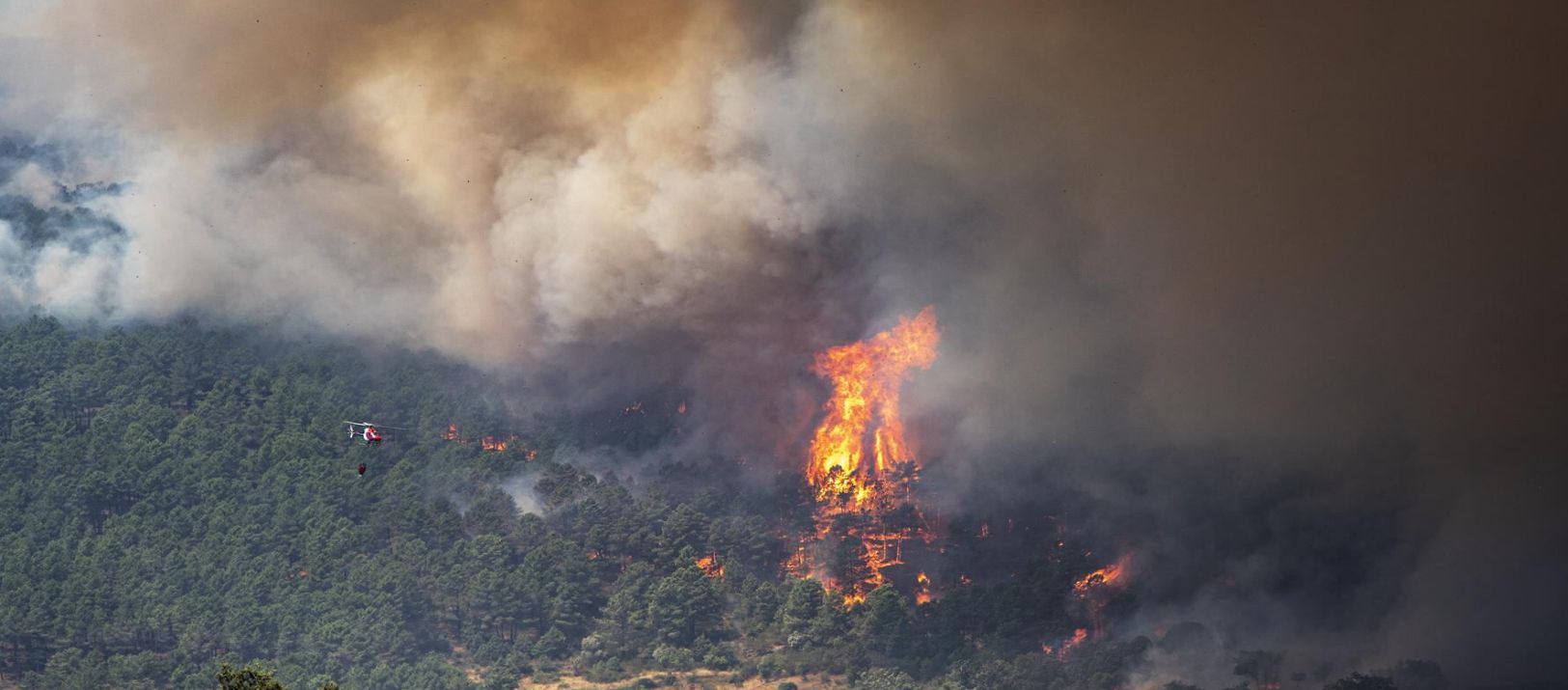 Imagen de la noticia: Más de 160.000 evacuados por los incendios que arrasan España y Francia