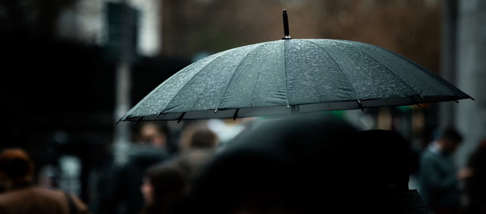 Imagen de la noticia: El pronóstico: se espera un martes con lluvias durante la tarde y la noche
