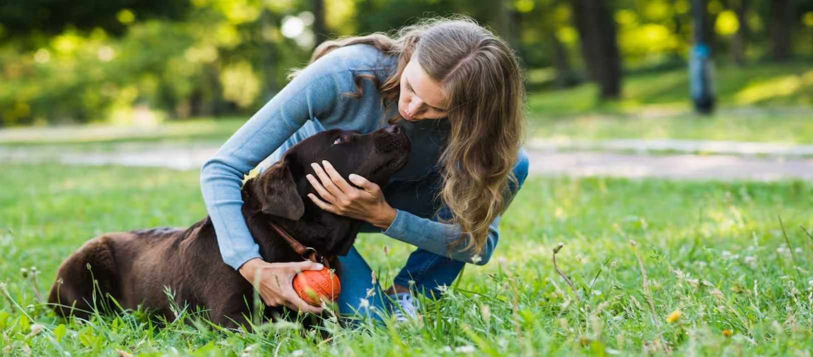 Imagen de la noticia: El amor de un perro por su dueño se mide por un llamativo detalle