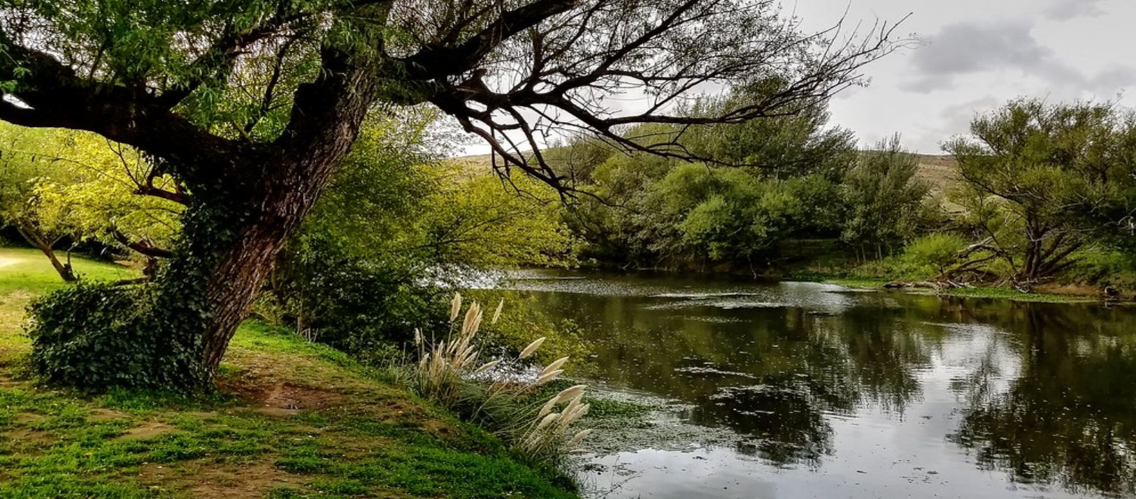 Imagen de la noticia: Aparecieron sanos y salvos los bahienses buscados en el río Sauce Grande