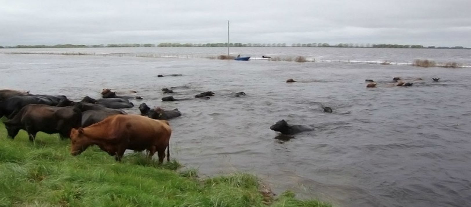 Imagen de la noticia: Advierten por los excesos de lluvia en la Provincia ante la llegada de El Niño