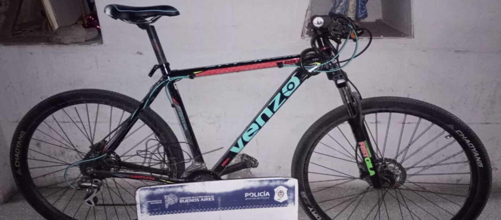 Imagen de la noticia: Volvieron a detener al José Feliciano bahiense: ahora por robarse una bici