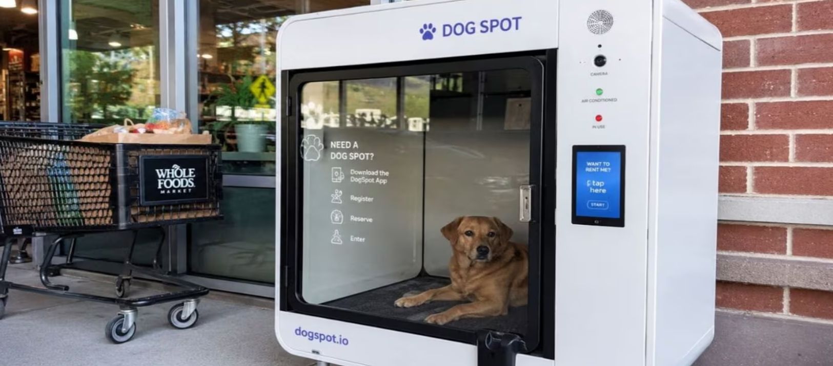 Imagen de la noticia: En varios supermercados de Alemania instalaron estacionamientos para perros