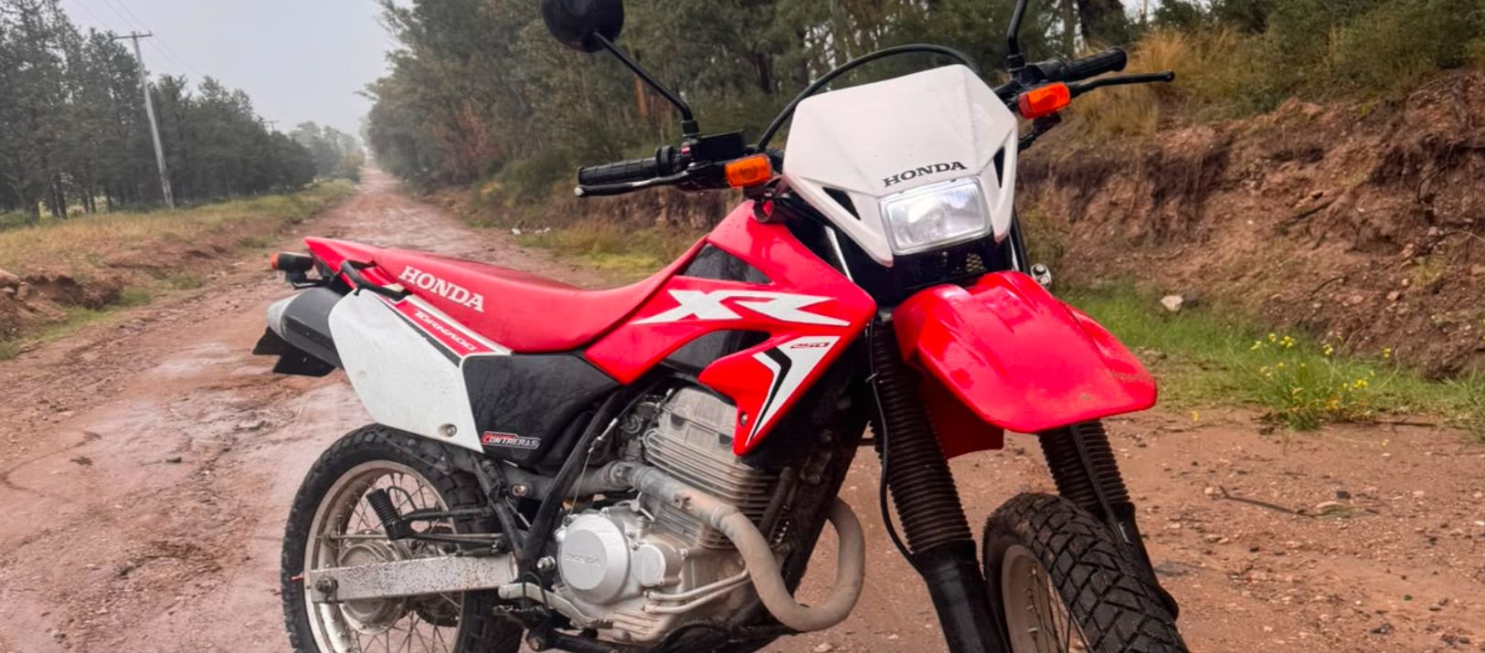 Imagen de la noticia: Denunció que le robaron la moto a metros de la plaza de Villa Mitre