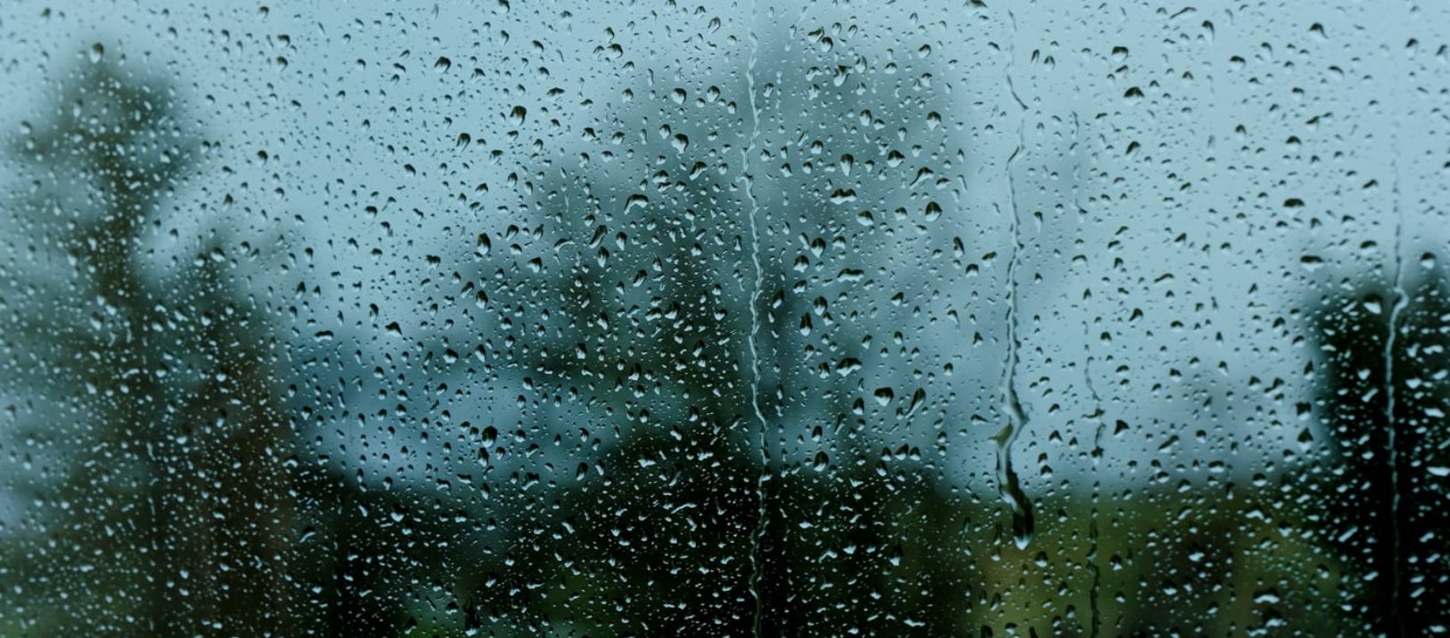 Imagen de la noticia: Hasta cuándo se extenderá el alerta por tormentas para Bahía Blanca y la zona