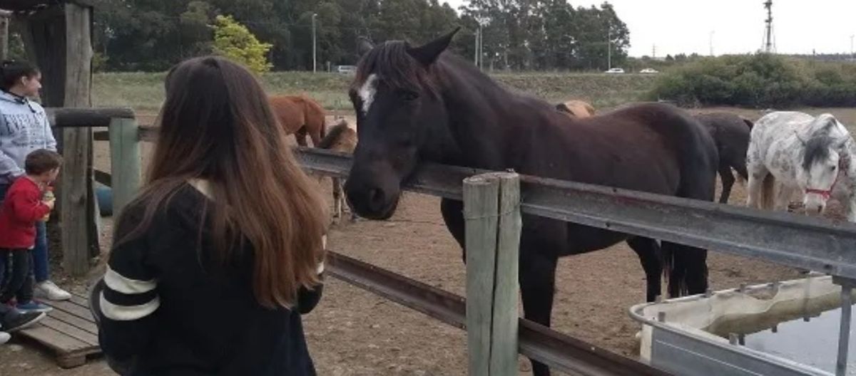 Imagen de la noticia: Realizan una rifa a beneficio de los animales rescatados del Centro Nelquihue