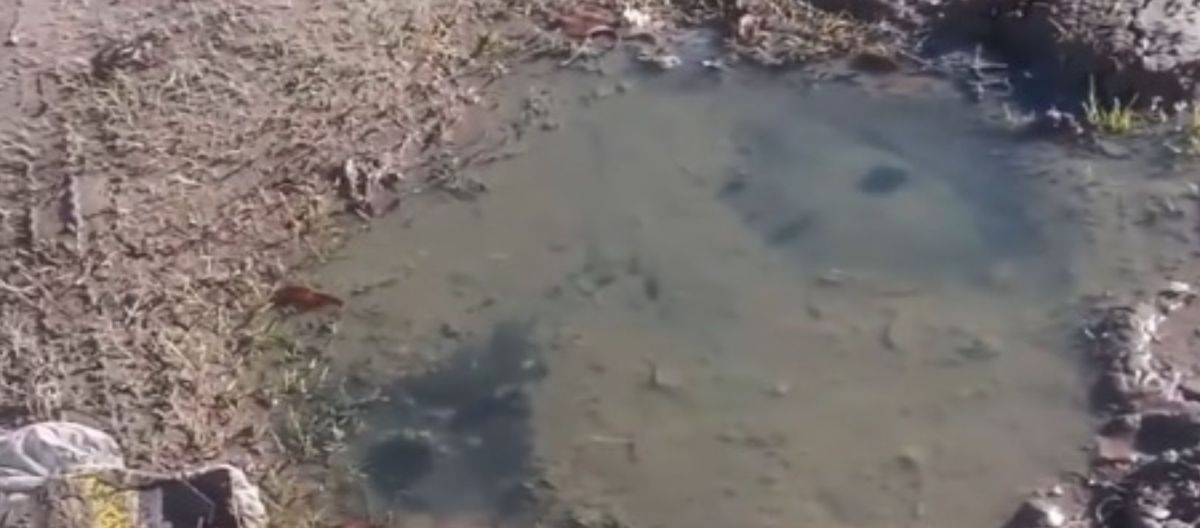 Imagen de la noticia: Un asco: el desborde cloacal se le metió en la casa