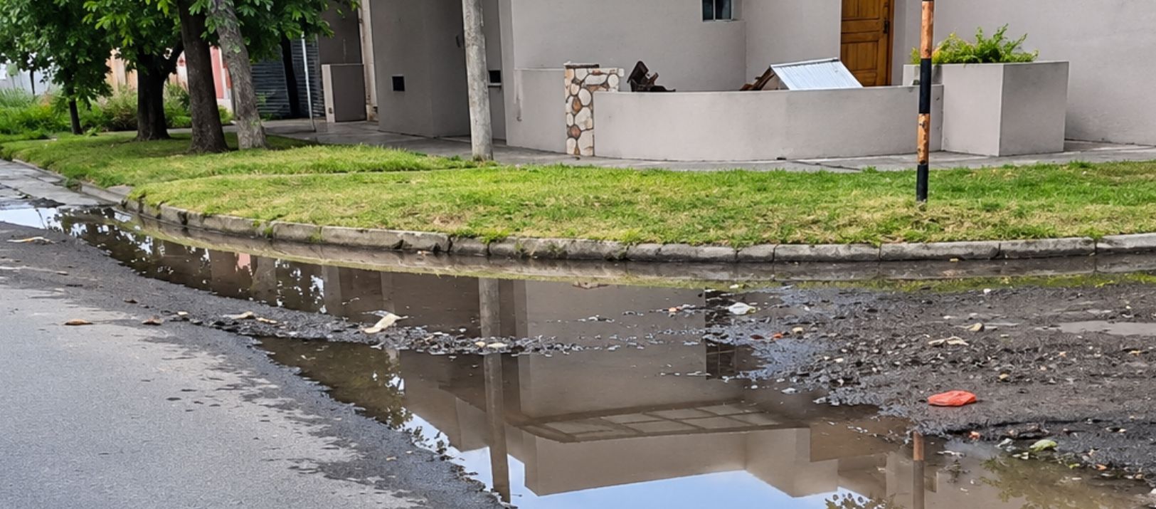 Imagen de la noticia: Denuncia que cada vez que llueve rebalsan las cloacas en la calle y en su baño