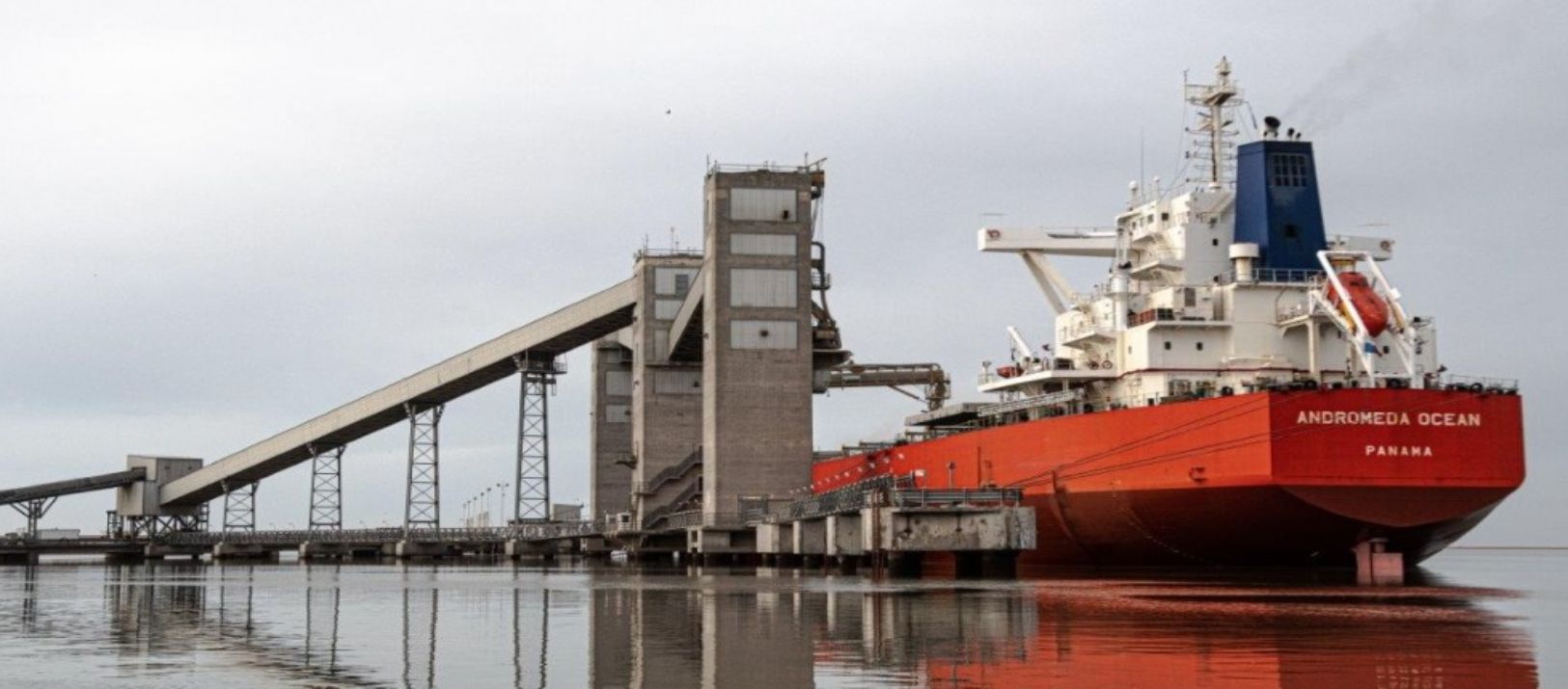 Imagen de la noticia: Conflicto en el puerto de Bahía Blanca: acusan demoras con 400 camiones varados