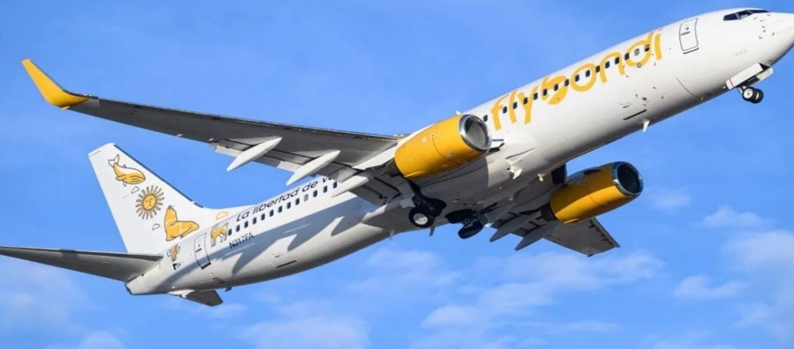 Imagen de la noticia: Alerta en vacaciones: Flybondi al límite por cancelaciones masivas