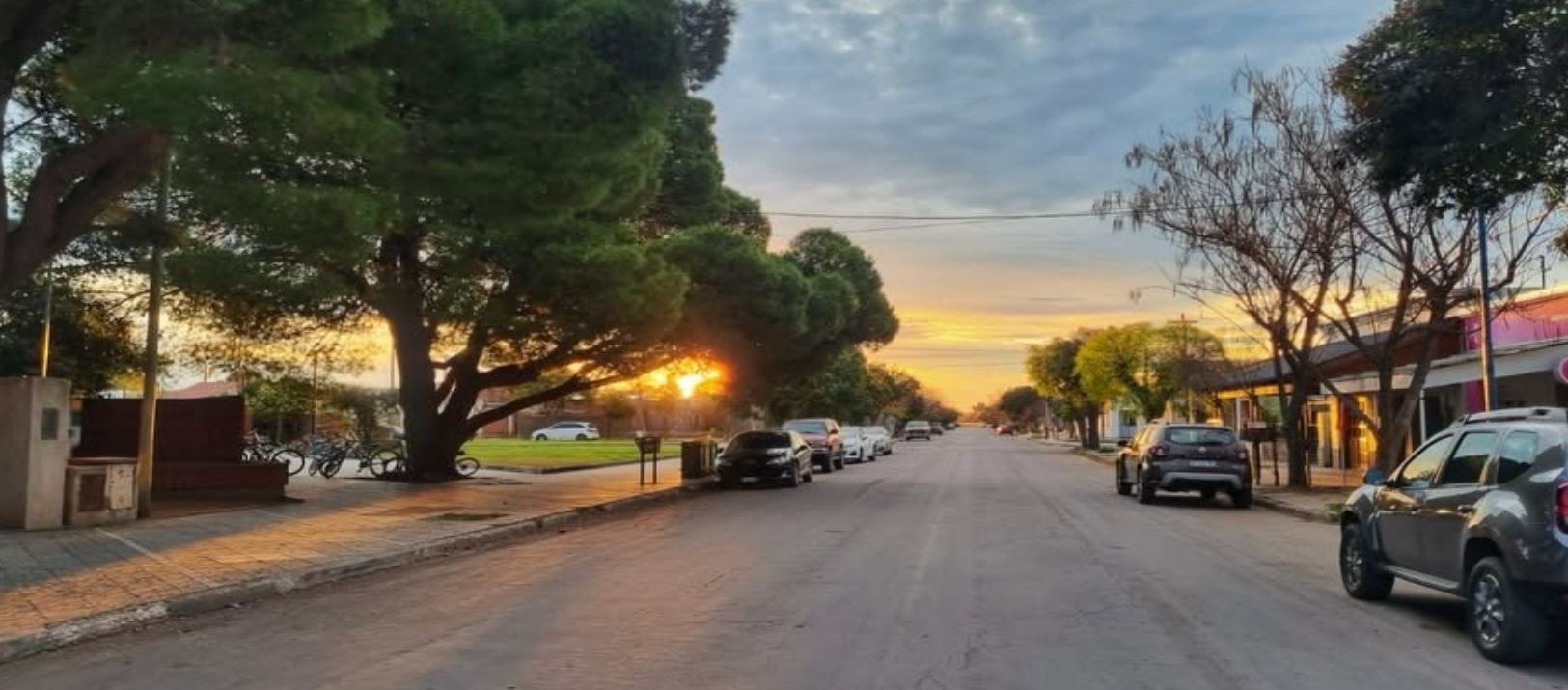Imagen de la noticia: Un municipio propone bonificar tasas a vecinos que mantengan o planten árboles