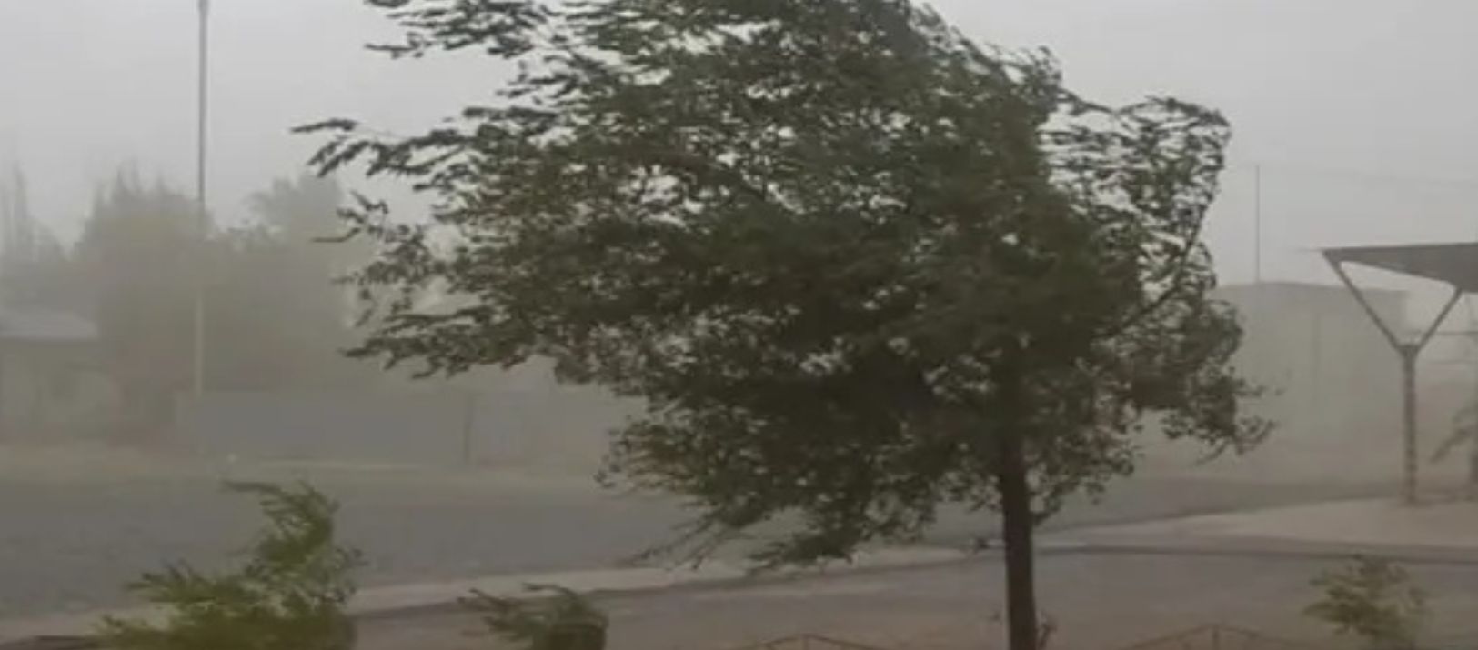 Imagen de la noticia: Confirmado: Bahía tendrá un Día de la Madre bajo alerta