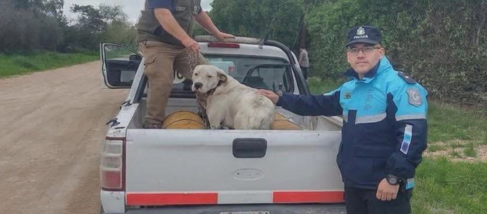 Imagen de la noticia: El Perdido: la Policía secuestró un dogo argentino por orden judicial