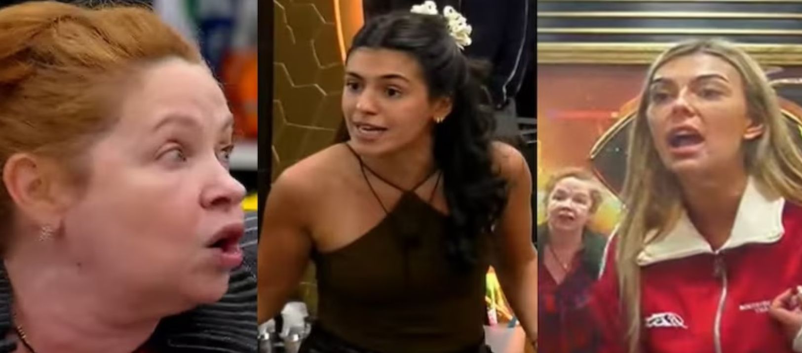 Imagen de la noticia: Andrea Del Boca protagonizó una dura discusión en GH: "Con la salud no se jode"