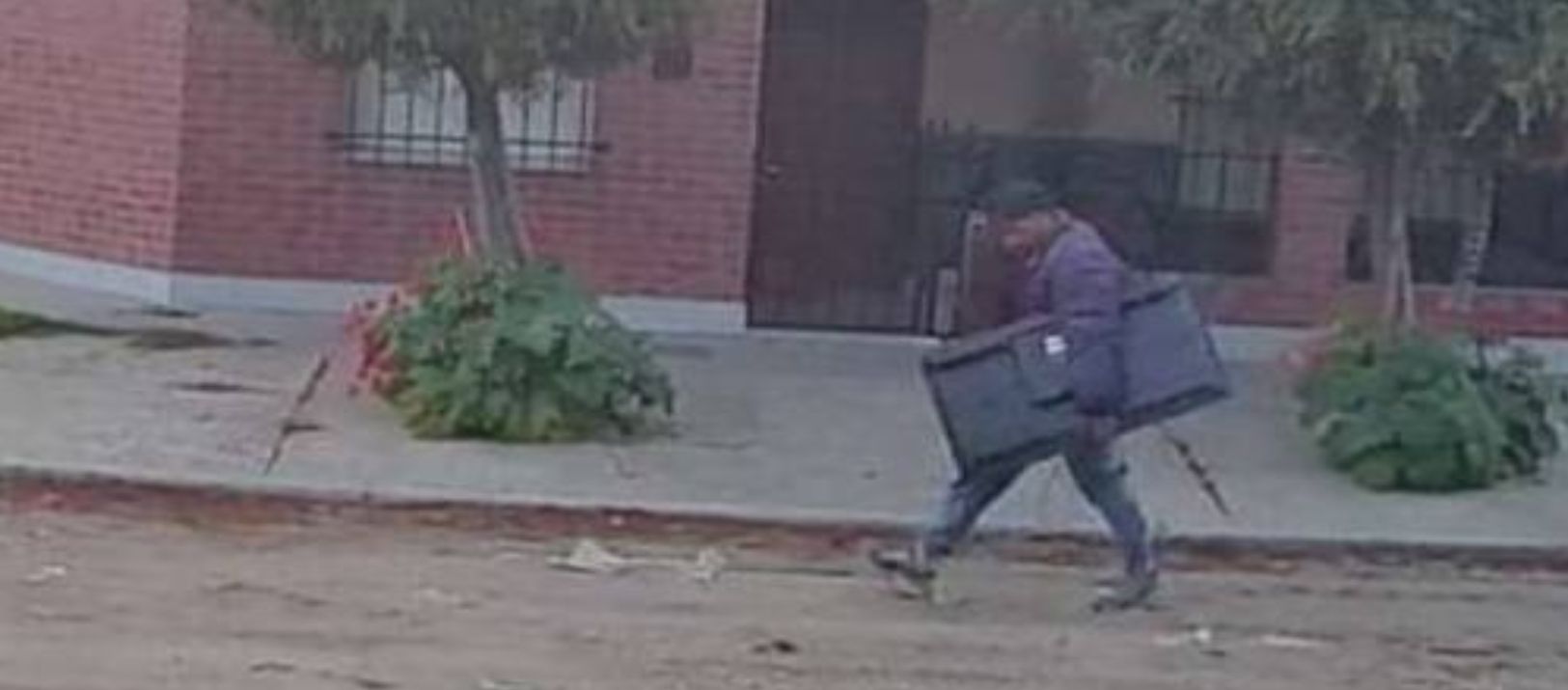 Imagen de la noticia: Quedó captado por las cámaras de seguridad llevándose un tele robado