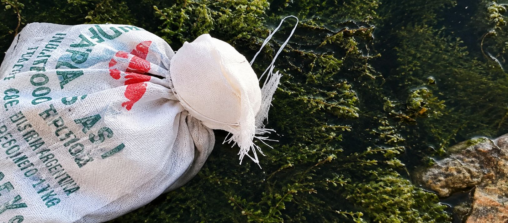 Imagen de la noticia: La Madrid: salvó a varios cachorros que fueron tirados a un arroyo en una bolsa