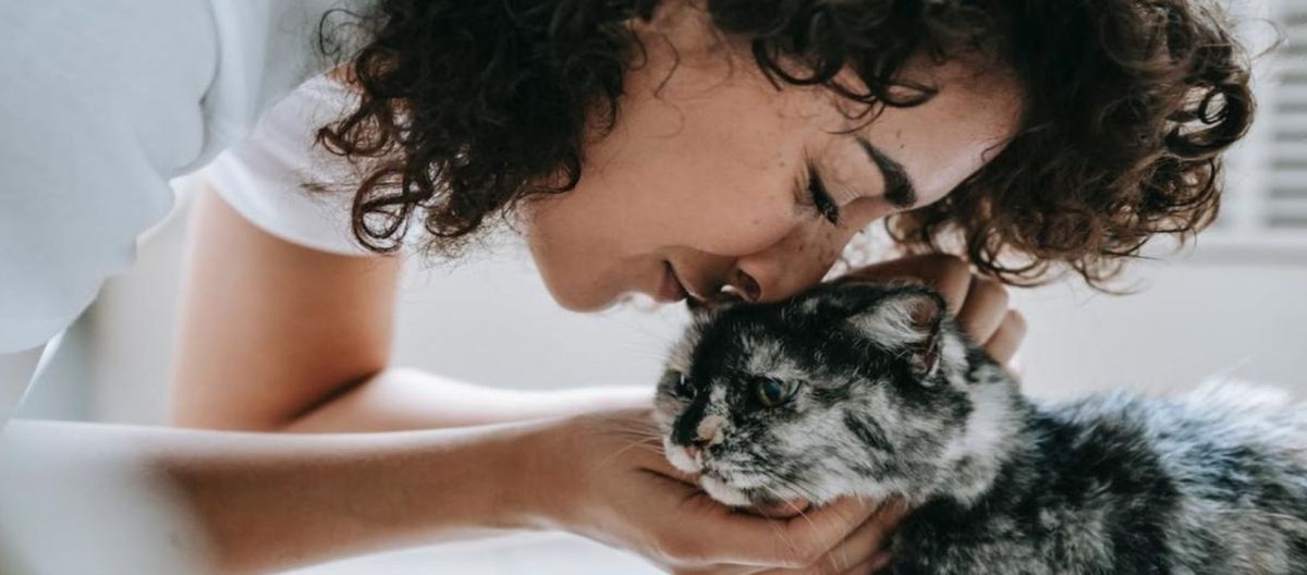 Imagen de la noticia: Gatos: Mujeres pueden interpretar sus emociones