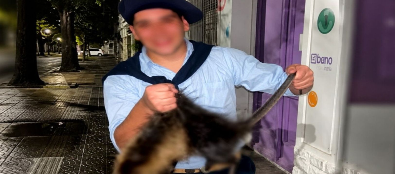Imagen de la noticia: Los jóvenes que mataron a una nutria denunciaron que reciben amenazas