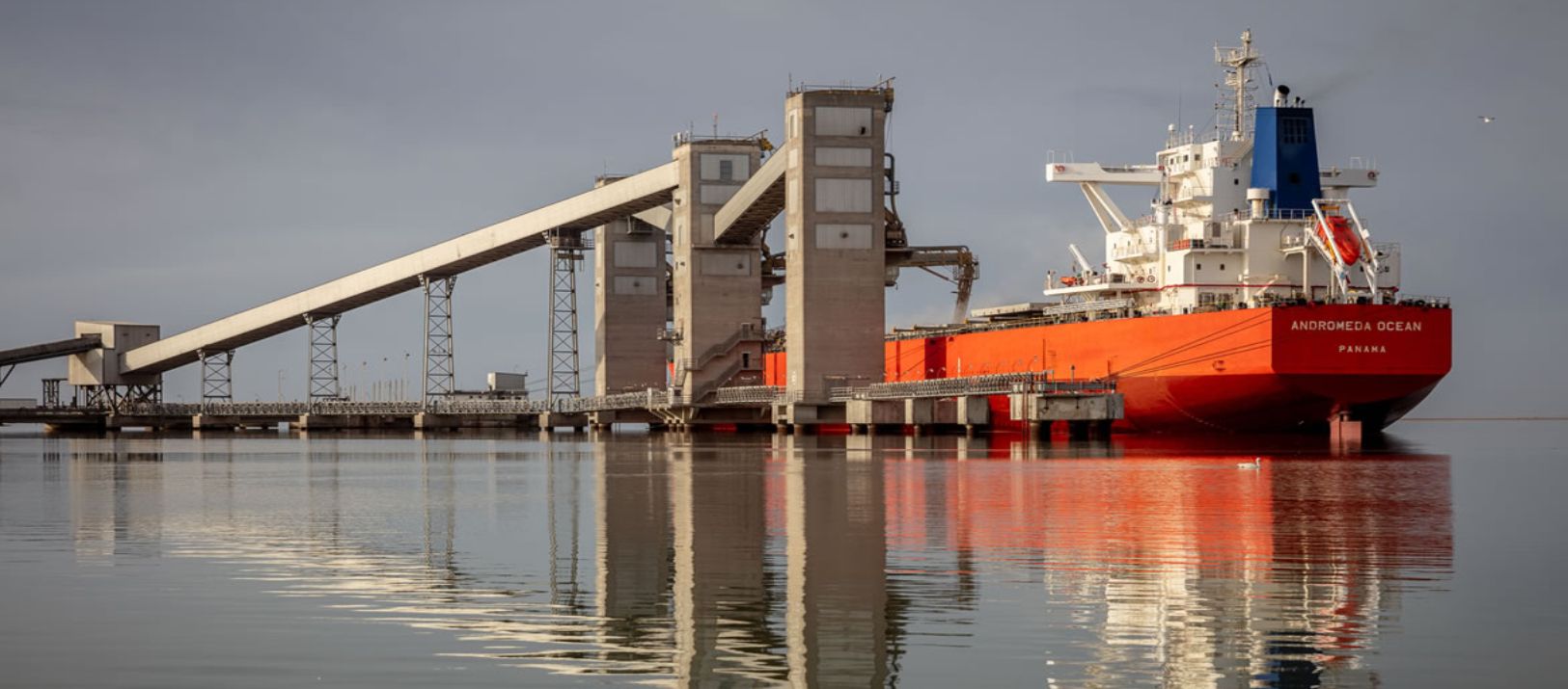 Imagen de la noticia: El paro portuario genera pérdidas de hasta 100 mil dólares diarios por barco